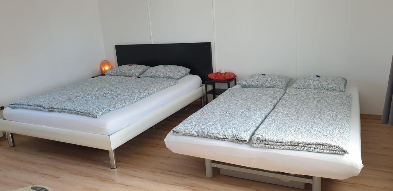 Lake Getaway Apartment With Private Entrance, Right On The Lake Constance Cycle Path, Barbecue Area, Free Wifi, Netflix And Free Bikes Salmsach Eksteriør billede